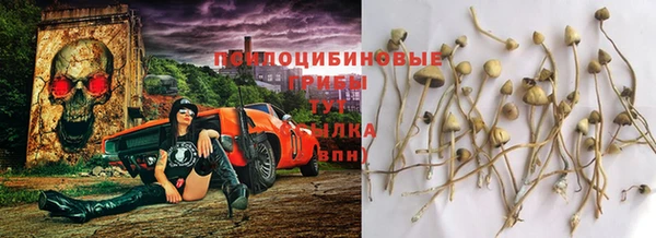 ECSTASY Майский