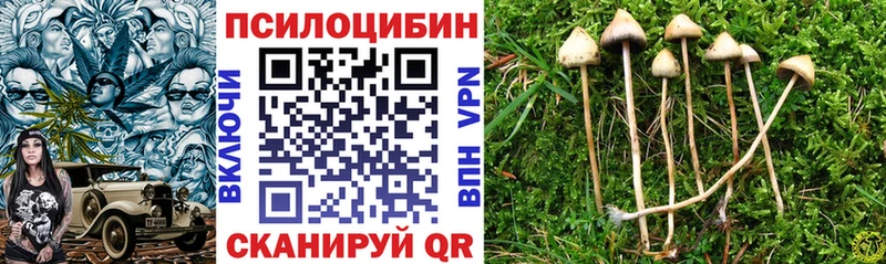 Галлюциногенные грибы Psilocybe  Киров 